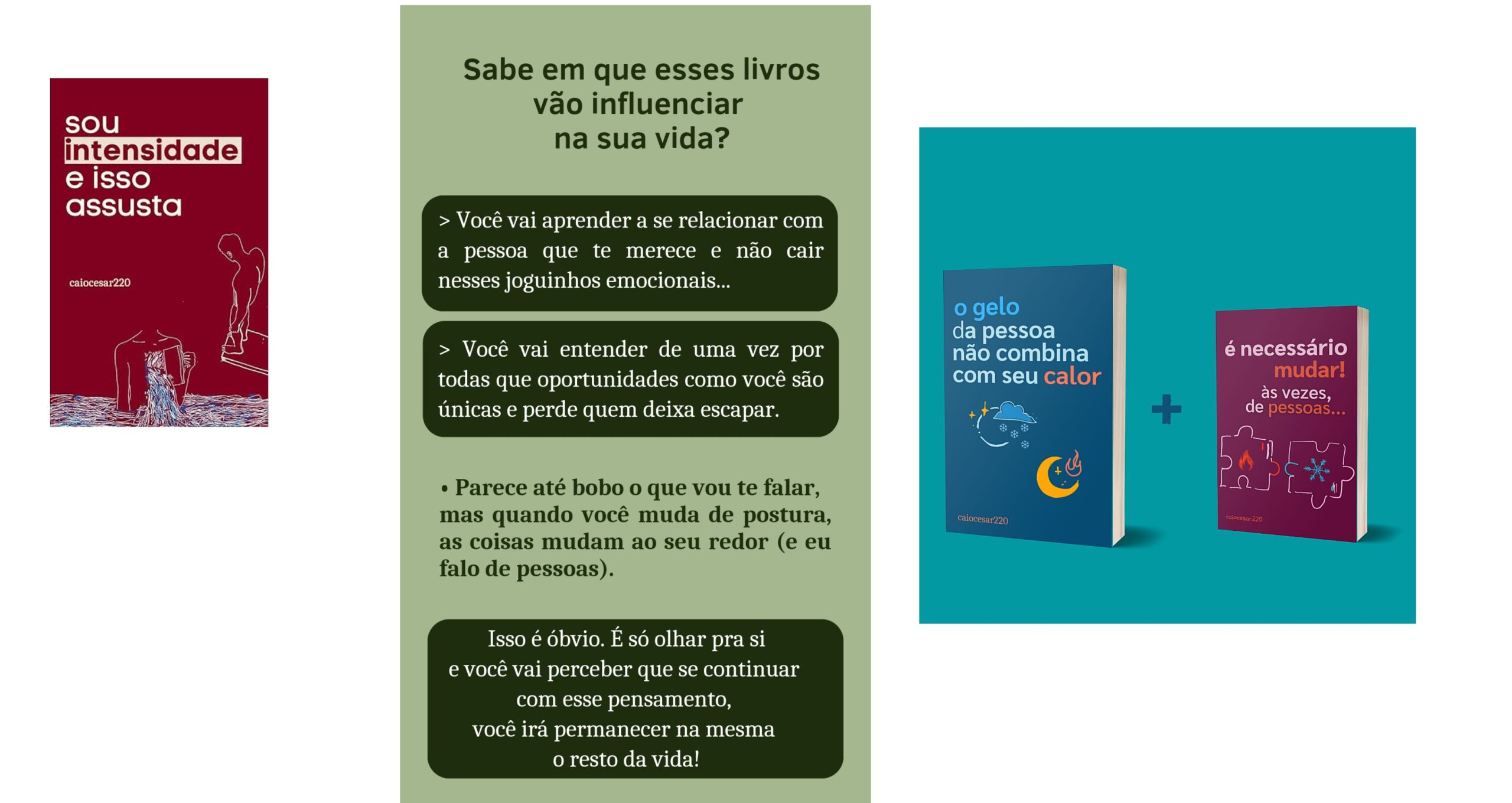 Caiocesar220 os melhores Livros: Gelo não combina - Sou Intensidade e Isso me assusta pdflivro.com.br