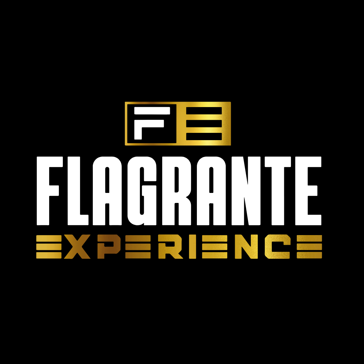 Como funciona o Flagrante Experience e por que ele é diferente de qualquer curso jurídico? pdflivro.com.br
