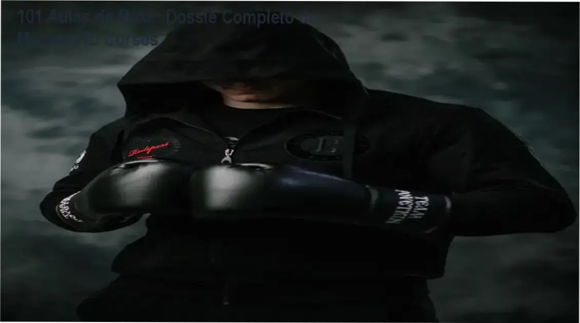 Representação visual do método 101 Aulas de Boxe focado em técnica e condicionamento