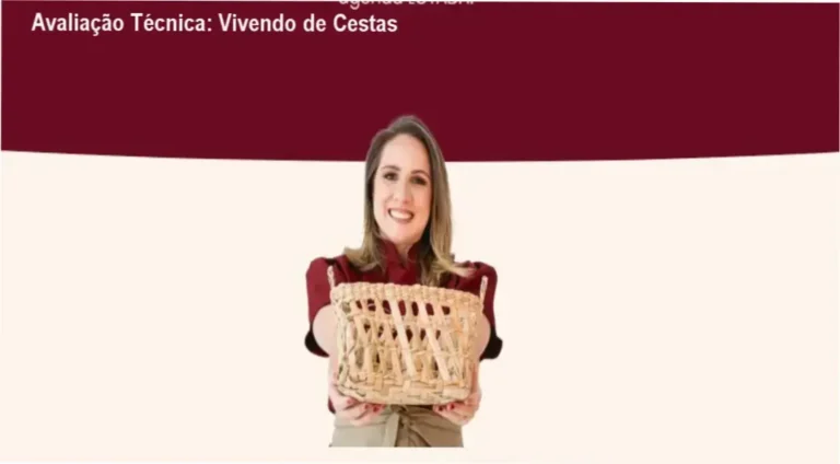 Guia explicativo sobre o produto digital Vivendo de Cestas