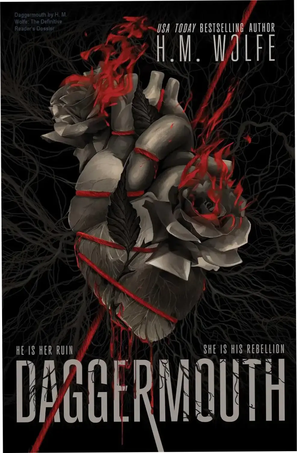 Cover of Daggermouth by H. M. Wolfe showcasing the dystopian aesthetic of The Heart Duology