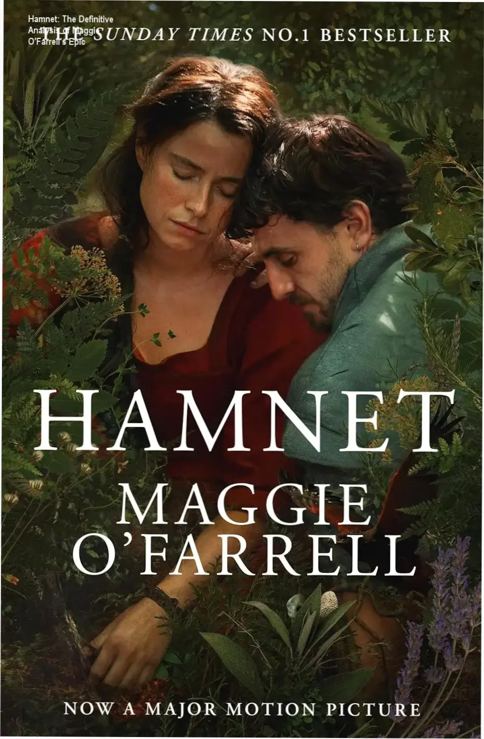 Ebook cover of Hamnet by Maggie O'Farrell showcasing the emotional narrative of love and loss