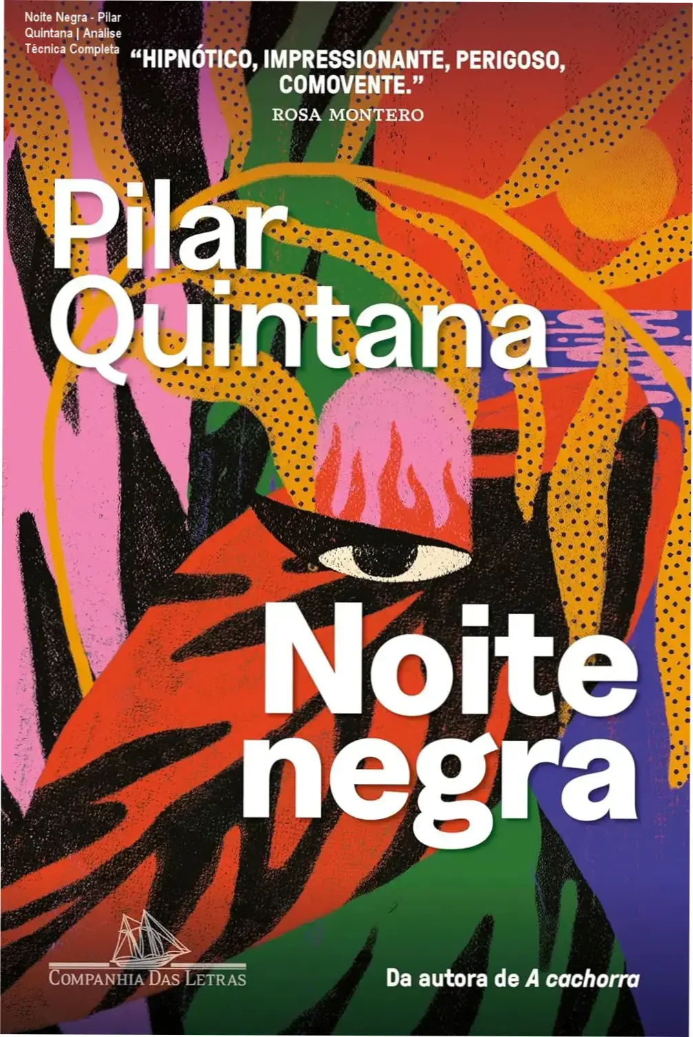 Capa do livro Noite Negra de Pilar Quintana com fundo atmosférico