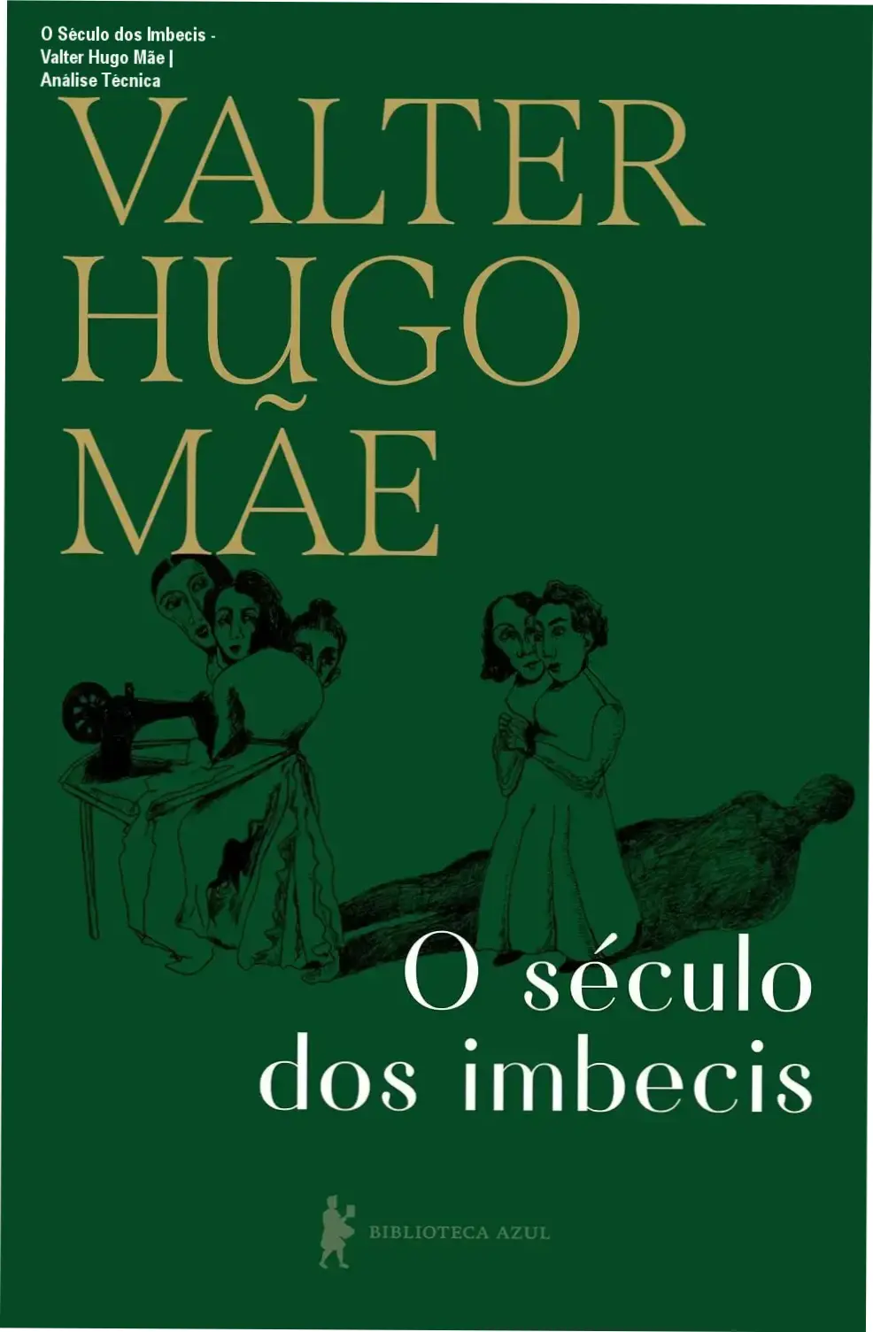 Capa do livro O Século dos Imbecis de Valter Hugo Mãe em formato digital