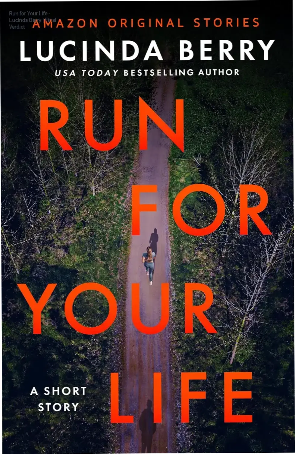 Cover of Run for Your Life by Lucinda Berry psychological thriller ebook