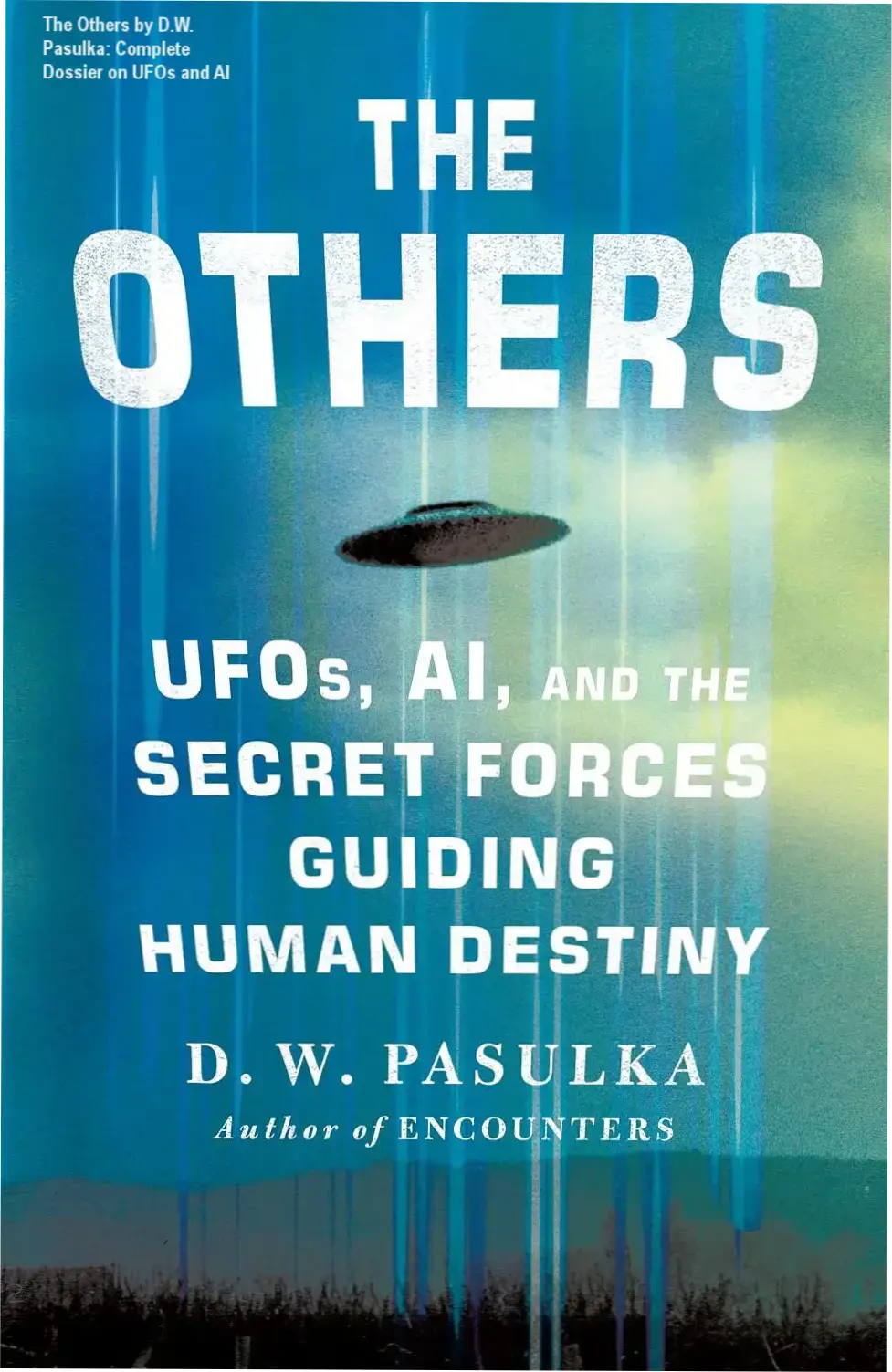 Cover of The Others book by D.W. Pasulka discussing UFOs and AI