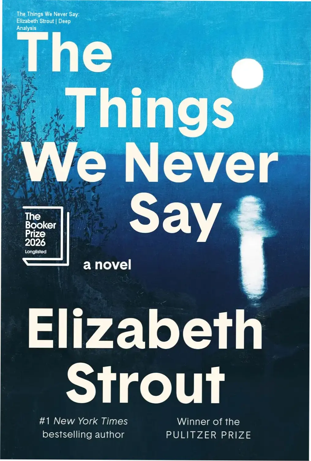 The Things We Never Say by Elizabeth Strout ebook cover on a digital reader