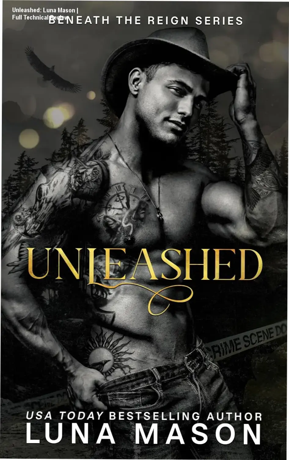 Book cover of Unleashed by Luna Mason featuring dark romantic themes