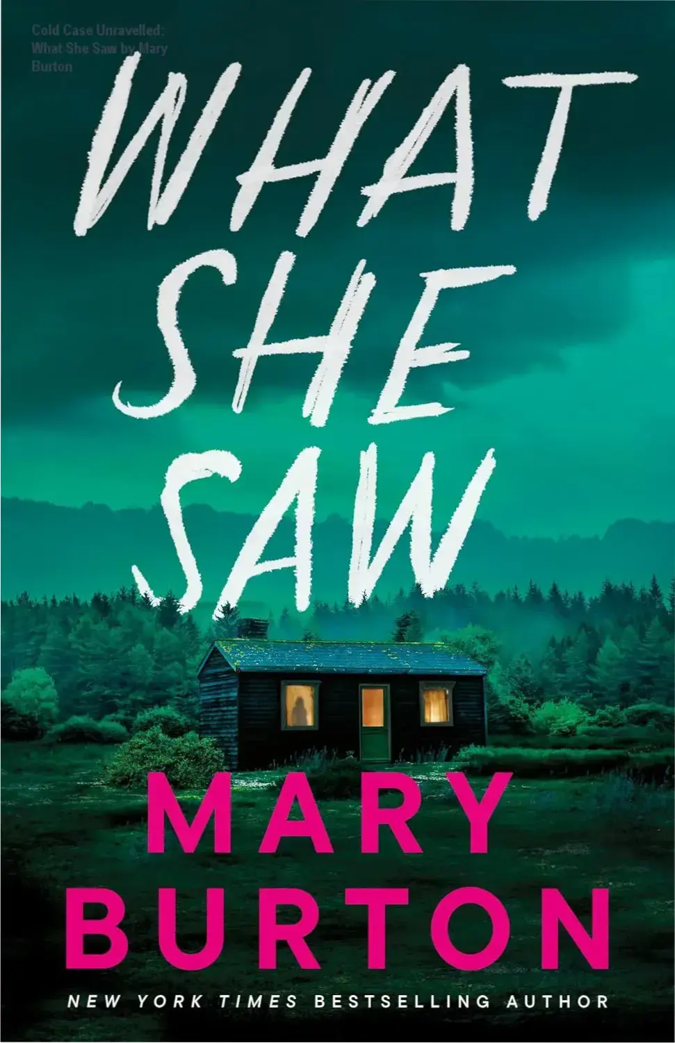 Cover art of What She Saw by Mary Burton, a Kindle ebook featuring police romance and cold case suspense